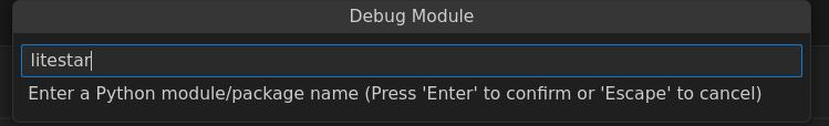 ../_images/vs-code-config-litestar.png
